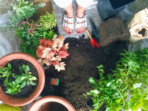 garden lottery inhale|Flor’s Garden .